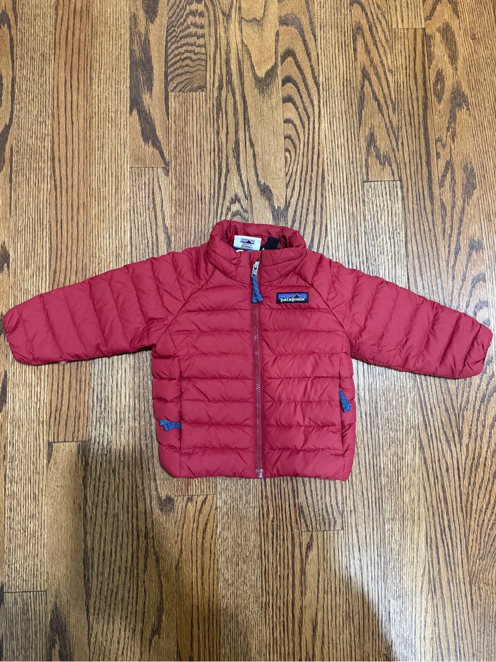 Patagonia Kids Down Jacket (6-12 months)